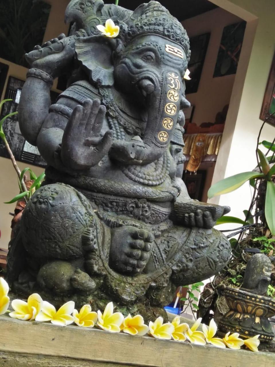 우붓 Lionk Bali House B&B 외부 사진