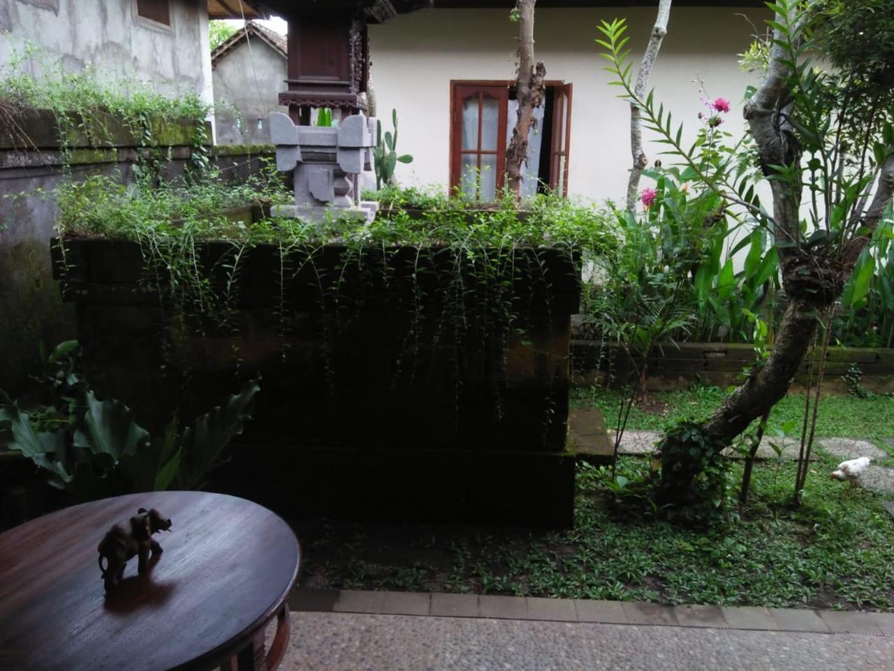 우붓 Lionk Bali House B&B 외부 사진