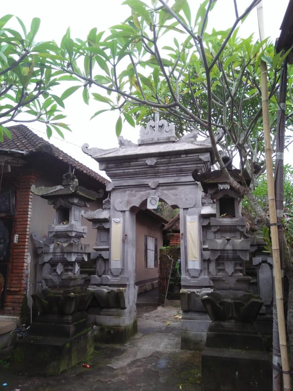우붓 Lionk Bali House B&B 외부 사진